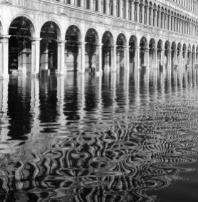 Venice2016sm